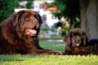 /album/fotogalerij1/mariel-27-jpg/